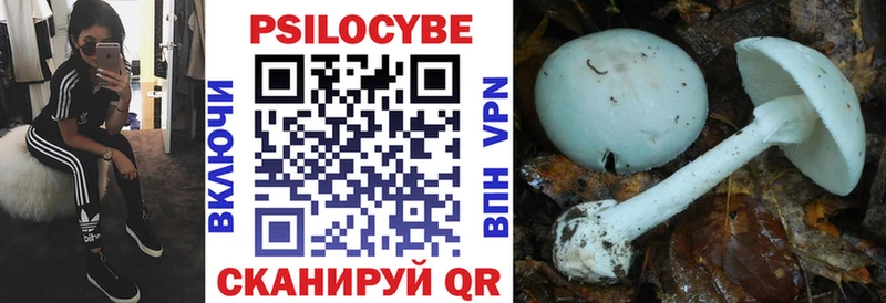 Купить  Барабинск  Псилоцибиновые грибы Psilocybine cubensis 